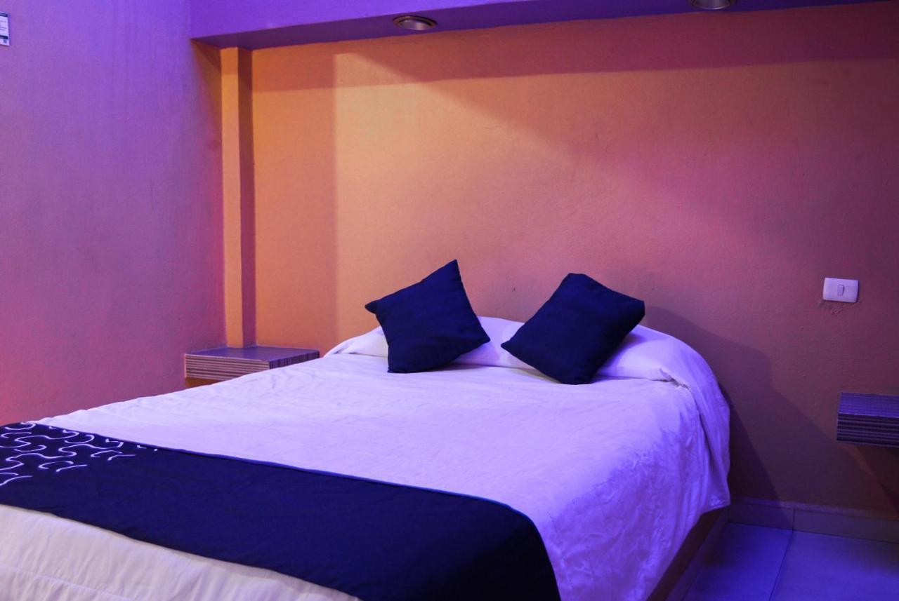 Hotel Oasis Monterrey Kültér fotó